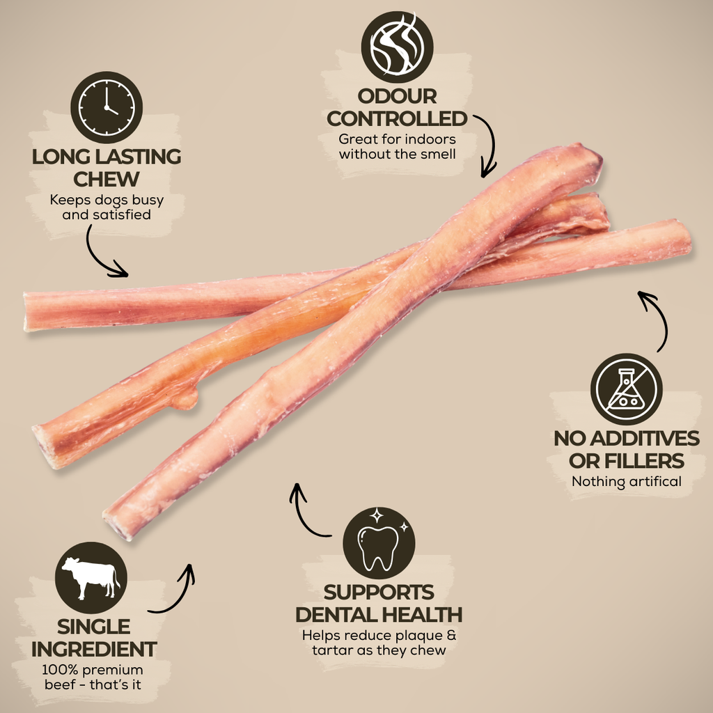 12 Inch Standard Bully Stick
