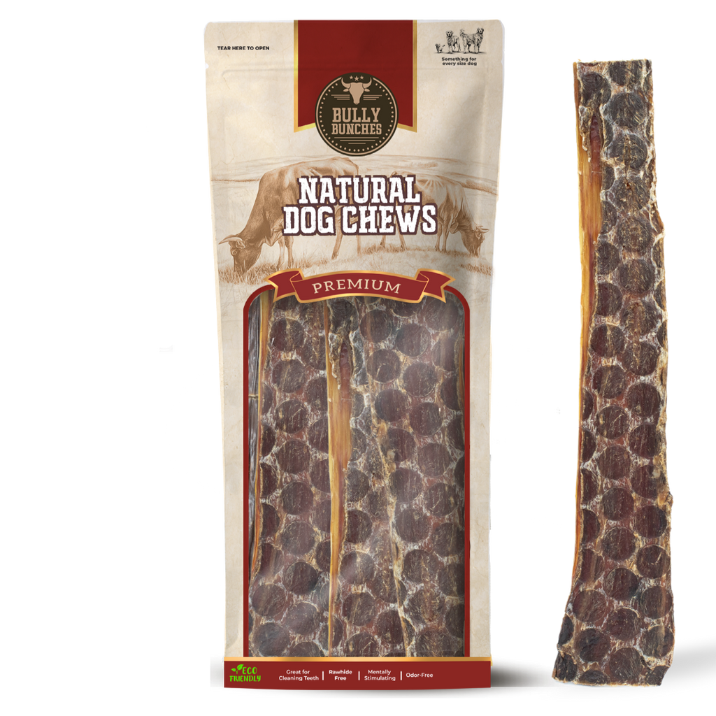 12 Inch Beef Jerky Strip