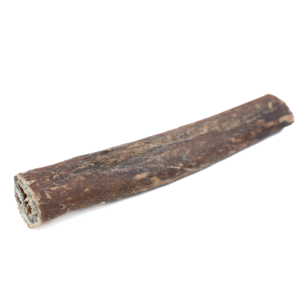 5-6 Inch Champion Chew