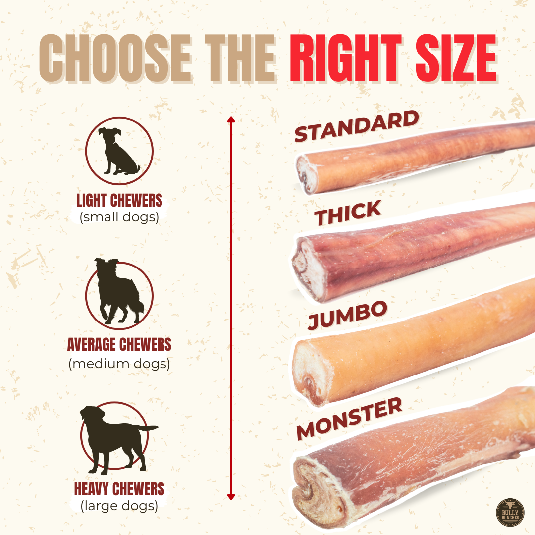 12 Inch Monster Bully Stick