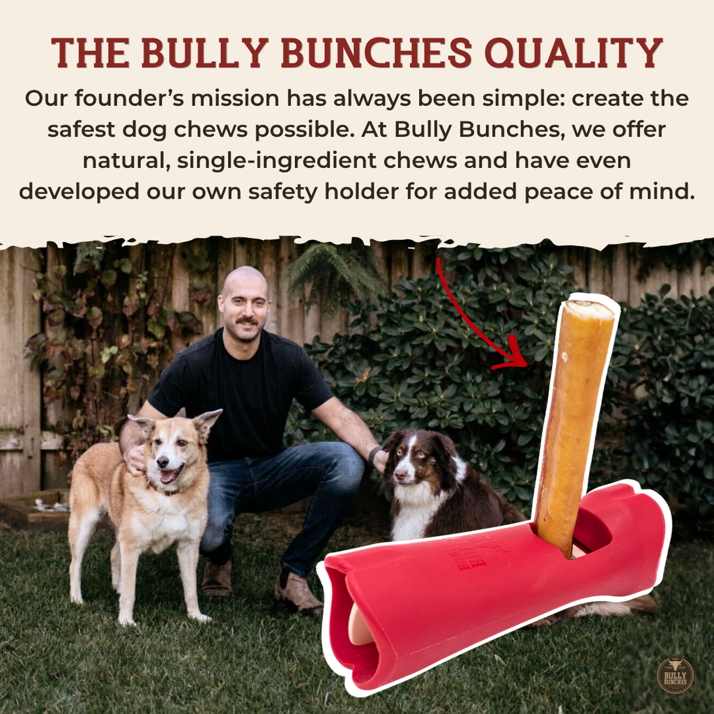 6 Inch Jumbo Bully Stick